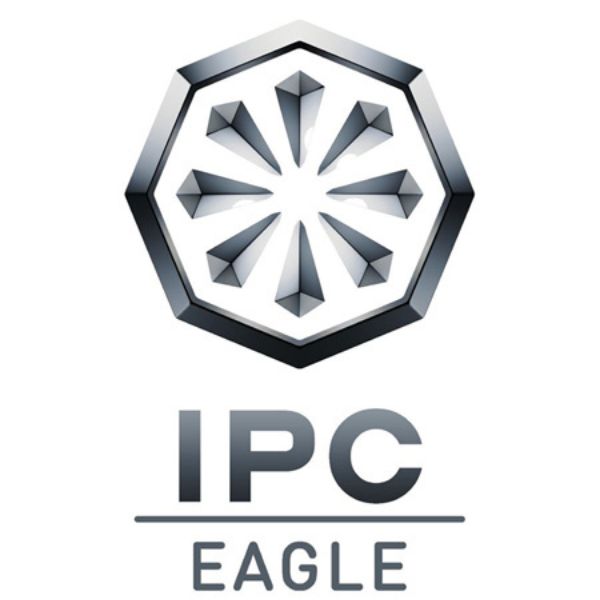 IPC Eagle Paper Filter Bags Pack of 5 - T80343